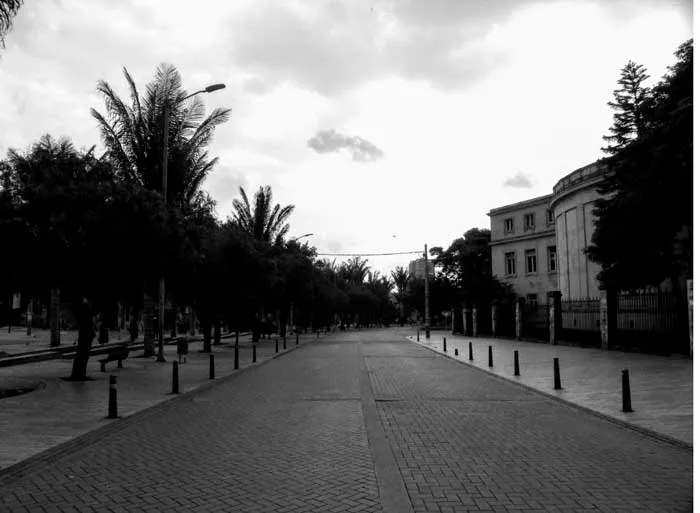 Avenida vacía con palmeras y bolardos en el centro de Bogotá durante la cuarentena, en blanco y negro