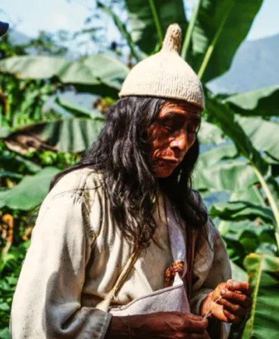 Hombre de cabello largo con gorro blanco de tejido y túnica clara entre hojas de banano