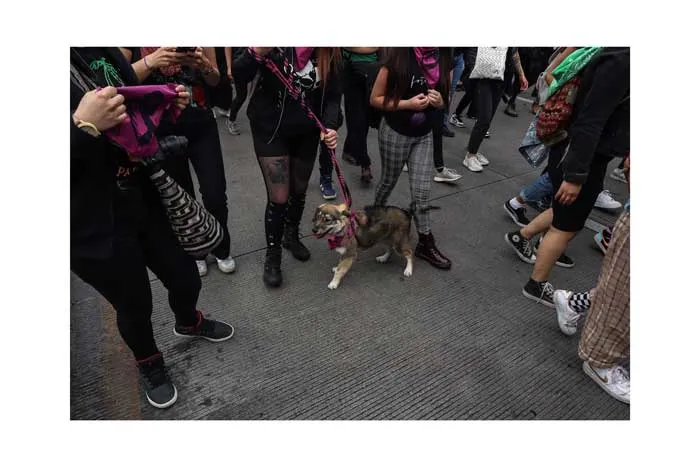 Manifestantes con pañuelos verdes y morados caminan junto a un perro con correa el 8 de marzo de 2021