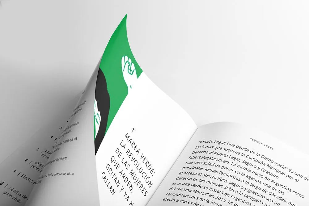 Aborto Desde la Perspectiva Feminista: capítulos