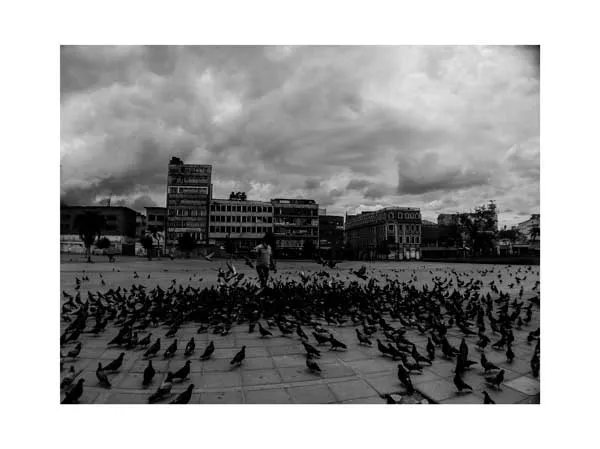 Palomas reunidas en una plaza vacía con una persona en medio y edificios al fondo, en blanco y negro