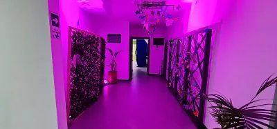 Pasillo de la exposición Aletea iluminado en rosa, con paneles decorados a los lados