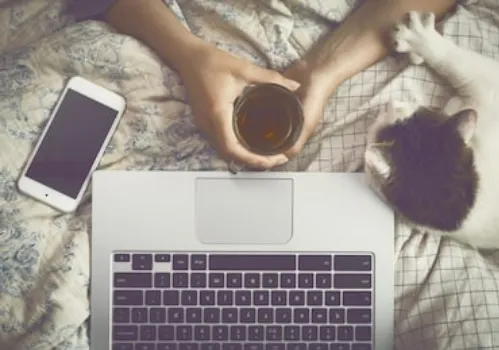 Vista desde arriba de una persona en la cama con una taza, una laptop, un celular y un gato