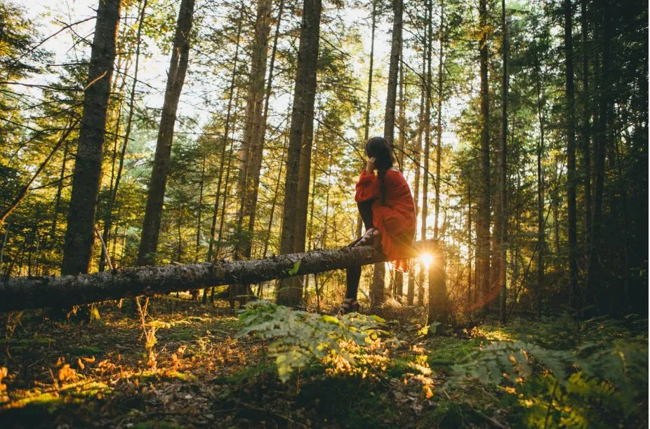 Persona con chaqueta roja sentada sobre un tronco caído en un bosque, con la luz del sol entre los árboles