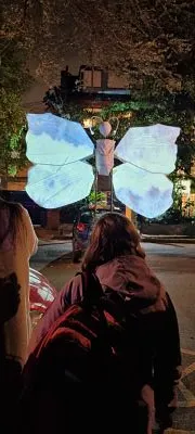 Persona de espaldas observa una mariposa luminosa blanca en un parque de noche