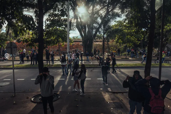 Personas caminan por una avenida bajo árboles a contraluz durante una marcha
