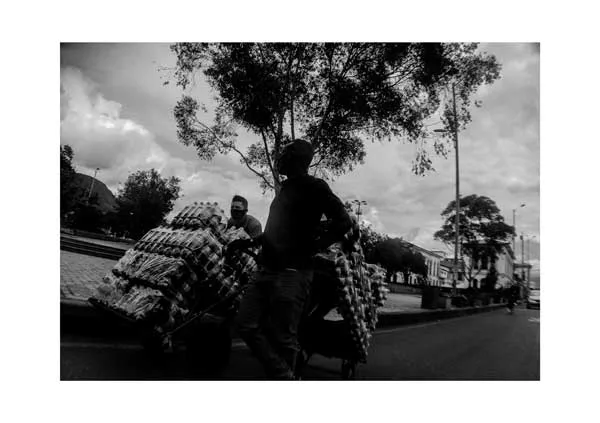 Vendedores empujan carretas cargadas de cartones de huevos por una calle con árboles, en blanco y negro